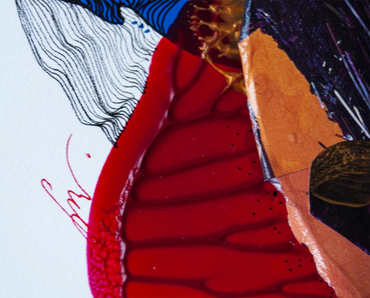 Detalle de la Obra artística Black Rose de la artista Solveiga Vaitkute